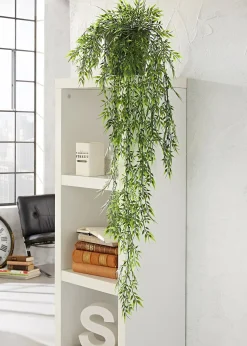 bonprix Bambou décoratif| Jardin & Balcon·Déco De Jardin & Éclairage|Accessoires Déco