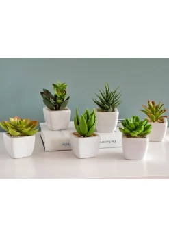 bonprix Jardin & Balcon·Déco De Jardin & Éclairage|Accessoires Déco|Mini-succulentes artificielles (Ens. 6 pces.)