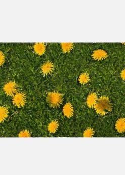 bonprix Couloir·Tapis D'Entrée|Tapis D'Entrée|Paillasson imprimé pissenlit