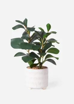 bonprix Accessoires Déco|Plante artificielle en pot