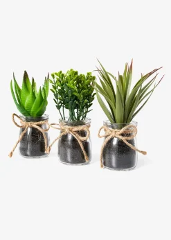 bonprix Succulentes artificielles en pot de verre (Ens. 3 pces.)| Jardin & Balcon·Déco De Jardin & Éclairage|Accessoires Déco