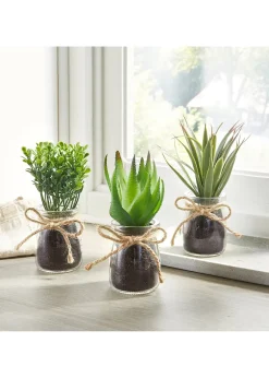 bonprix Succulentes artificielles en pot de verre (Ens. 3 pces.)| Jardin & Balcon·Déco De Jardin & Éclairage|Accessoires Déco